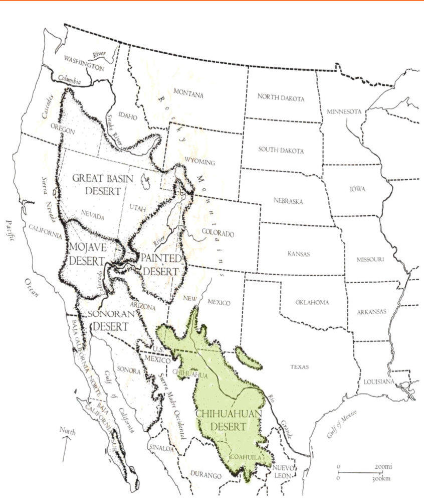 chihuahuan desert map